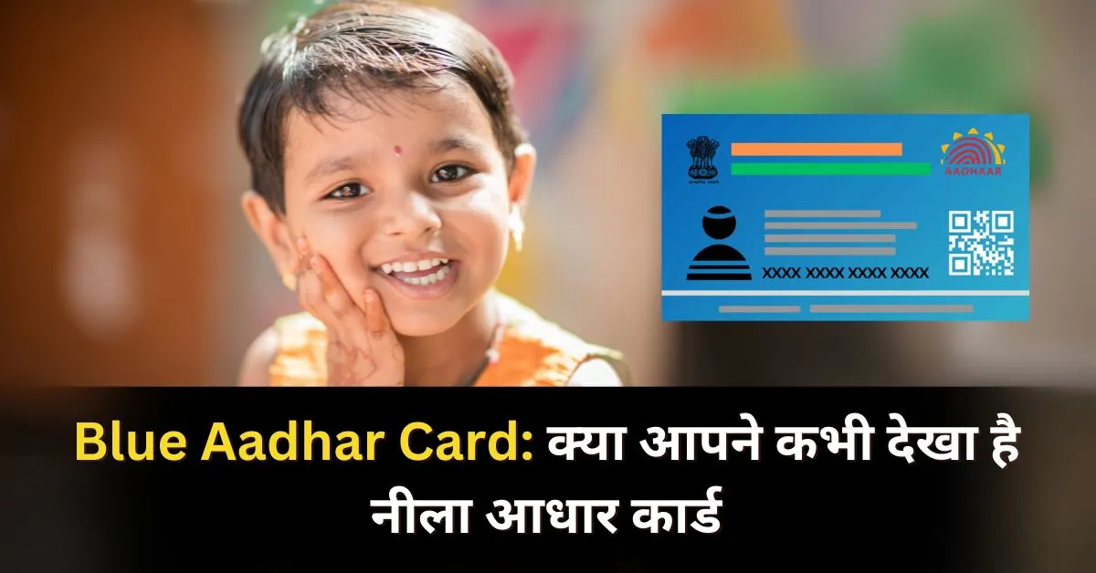 Blue Aadhar Card